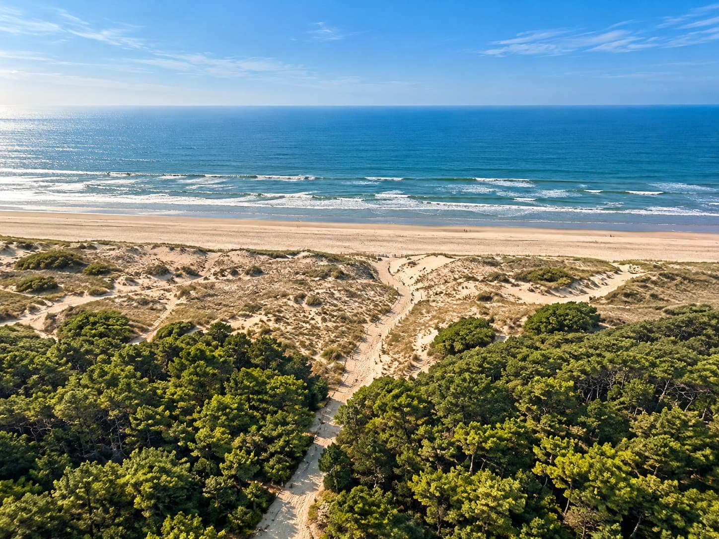 Vue aérienne d’un chemin traversant la forêt et les dunes de Merlimont jusqu’à la plage et la mer