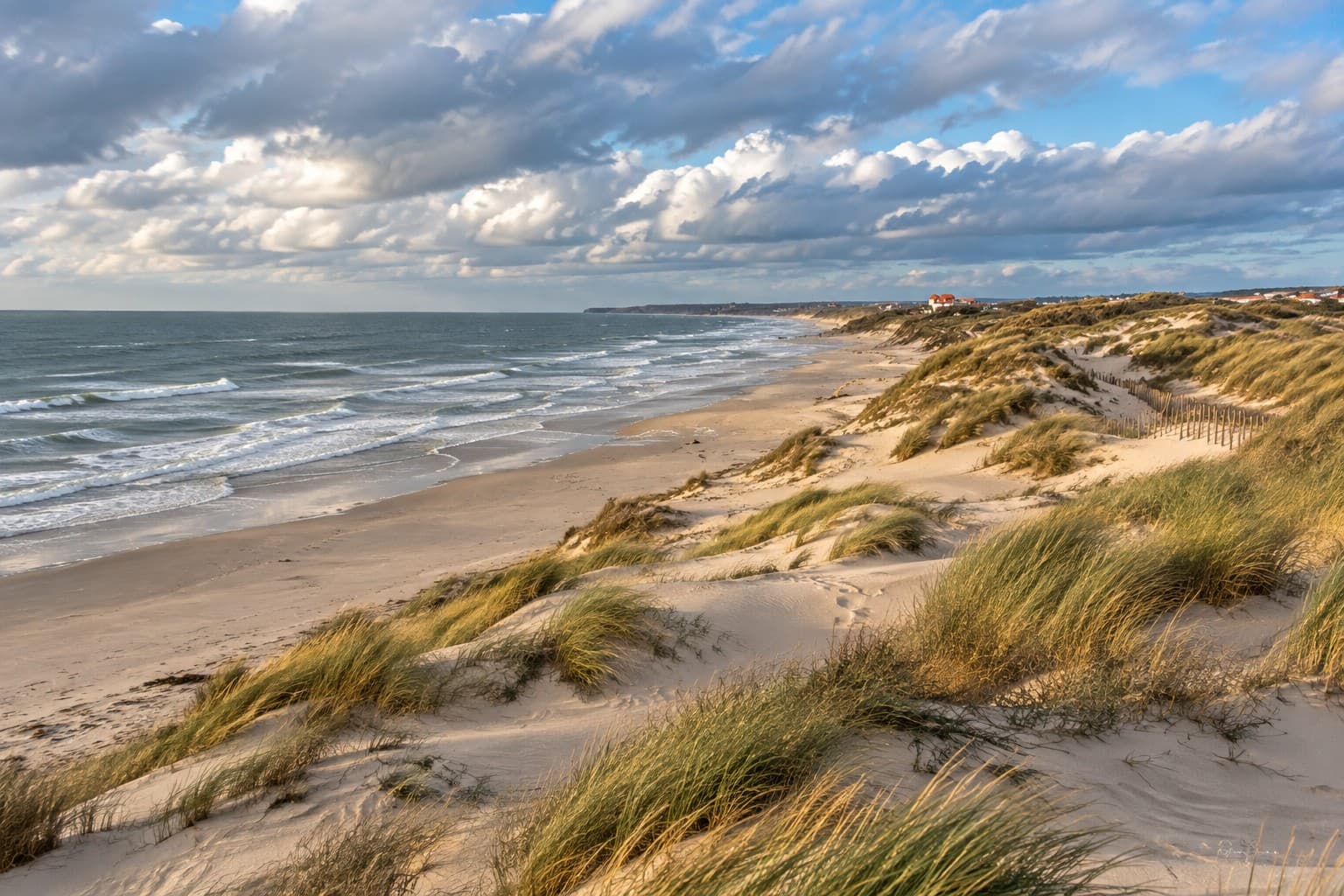 Oyats et reliefs des dunes de Merlimont-Plage le long du littoral